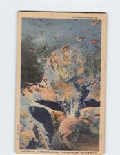 Postcard Bridal Chamber Silver Springs Florida USA North America picture