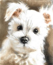 ❦ ORIGINAL Oil Dog Portrait Painting WEST HIGHLAND WHITE TERRIER Westie Artwork picture