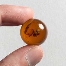 SPIDER SPHERE 22mm Burmese / Burmite amber fossil bead / 100% genuine picture