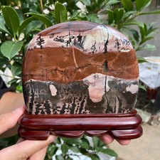 2LB Beautiful Natural Chinese Dendritic Limestone Picture Stone Guohua - Rare picture