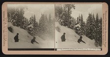 Photo:Mount Washington NH 1905 Skiers Descending Index Mts Stereo View picture