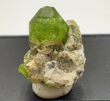 Peridot Specimens 82.90 Carat / US seller picture