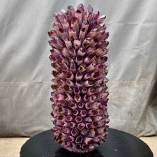 28.54LB New find purple Phantom Quartz Crystal Cluster mineral samples healing picture