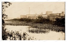 Waltham Massachusetts circa 1900s Watch Factory Charles River Standard Postcard picture