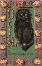 Halloween Black Cat Embossed GREAT COLOR Series 2279 c1900s-10s Postcard bhn picture