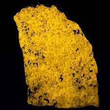 Large Solid Super Bright Fl. Sodalite: Tunulliarfik Fjord, Ilímaussaq, Greenland picture