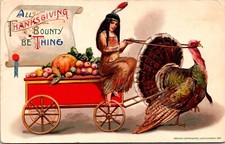 Vintage 1911 Schmucker Indian Winsch Woman, Turkey & Cart Thanksgiving Postcard picture