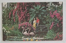 Postcard....Sunken Gardens in St Petersburg, Florida w/ Flowers & Pink Flamingos picture