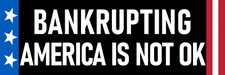 Bankrupting America is Not OK Sticker Anti Government Spending Debt Deficit picture