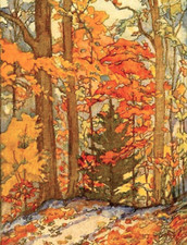 Repro Postcard: Fall Forest - Gold, Yellow & Orange Leaves - Autumn Scene picture