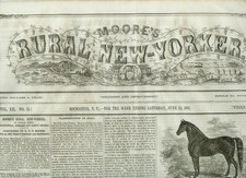 Newspaper Civil War  Secession Rebel Banner Design Adopted SEE  1861 picture