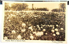 1927 FARGO NORTH DAKOTA ND., RPPC Real Photo Postcard Peony Bed in Island Park picture