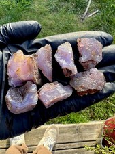 Holley Blue Agate 7 pc LOT~A grade 73.89g Rare 1970’s Old Stock Cabbing Rough picture