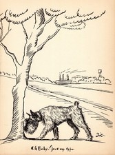 Antique Schnauzer Print 1930s Humorous Schnauzer Illustration Art by Zito 7119p picture