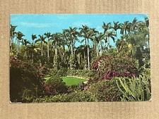 Postcard St. Petersburg FL Florida Sunken Gardens Royal Palms and Flowers picture