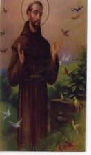 FRANCISCAN MORNING PRAYER - Laminated  Holy Cards.  QUANTITY 25 CARDS picture