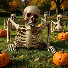 Realistic Halloween Skeleton Decoration with Movable Joints, Outdoor Yard Party picture