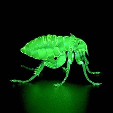 Uranium Vaseline flea hand Made In The USA 🇺🇸 picture