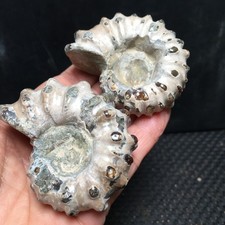 168g 2pc Natural Stone sculptor decoration specimens of Madagascar fb1869 picture