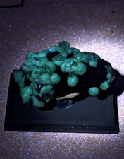 UV Reactive Wavellite - Fantastic Old Stock - Mauldin Mountain, Arkansas, Rare picture