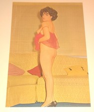 Vintage 1960s Marlea Roma Pinup Photo Art Italian Dressing Swinger Magazine... picture