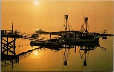 Fishing Boats At Sunrise Along The Maine Coast Vintage Postcard TP14-2 picture