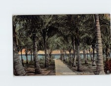 Postcard Cocoanut Palm Avenue, Florida picture