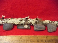 RARE NATIVE AMERICAN SET OF FOUR MINIATURE EFFIGY CELTS - HOKE C0. N. CAROLINA picture