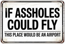 If Asshol Could Fly Fun Tin Metal Signs Home Décor Vintage Funny Saying Print picture