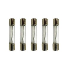 Slow Blow Fuse - 2 Amp - MDL, 250V - Set of 5 picture
