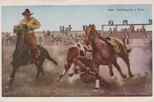 Bulldogging a Steer - Copyright Stewart Bros. - Unused/Unposted picture