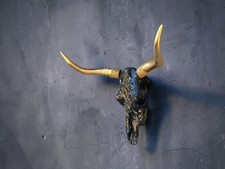 Real bull skull. Wall decor. Cow skull. picture