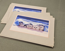 Lot Of 19 Vtg Cat Greeting Cards, Colorful Images picture