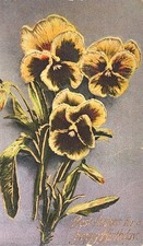 1914 Greetings Postcard - Best Wishes For A Happy Birthday ~ #-10289 picture
