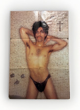 VINTAGE 1981 PRINCE POSTER official Warner Brothers Records merchandise. picture