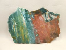 Hampton Butte Petrified Wood Jasper Rough Rock Stone Slab #O1 picture