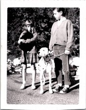 Cute Adorable Dalmatian Dog and Poodle Pets Snapshot 1940s Vintage B&W Photo 2 picture