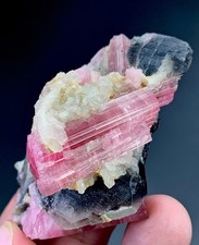 Bi Colour Tourmaline Crystal With Quartz From Afghanistan 313 Carat picture