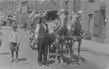 J39/ Trinidad Colorado RPPC Postcard c1910 Dairy Delivery Wagon Stores 265 picture