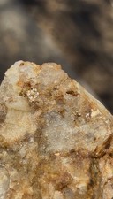 Gold Bearing Quartz Ore Specimen 8g Visible Metallic California Natural Rough Au picture