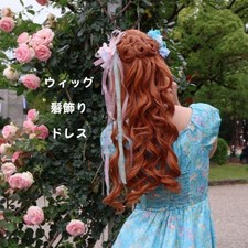 Giselle Costume Set with Wig and Dress Disney Transform Magic Movie Japan picture