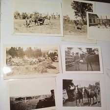 Lot Vintage Black & White Photos Horse Drawn Carts Farm Rural Scenes picture
