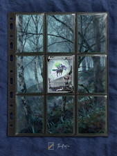 Pokemon Shadow Rider Calyrex V 172/198 Chilling Reign Extended Art Binder Insert picture