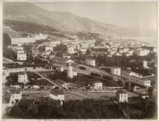 c.1880's PHOTO FRANCE MENTON GENERAL VIEW/PAMPAS GRASS picture
