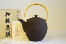 Kikuchi Hojudo WAZUQU Mayu Cast Iron Teapot SS 11 fl oz / 330 ml Japan picture