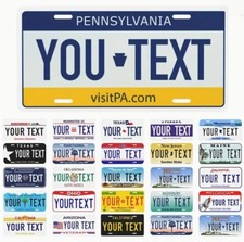 Any State Any Text 250 Custom License Plate Personalized US Canada Mexico picture