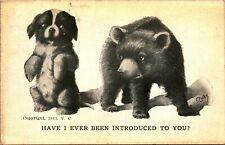 J Colby Artist Signed Comic Puppy w Bear Have I Been Introduced 1911 Postcard picture