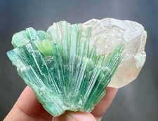 50g Natural Green Tourmaline Crystal Cluster on Quartz Matrix - Kunar picture