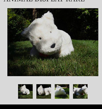 American Girl Coconut Westie Plush Dog Stuffed Animal Huge Jumbo. 4ft by 3 feet picture