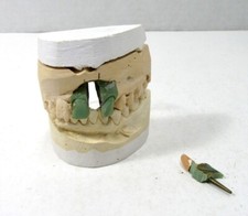 VINTAGE DENTAL MOLD ORDONT BRAND IN ORIGINAL BOX picture